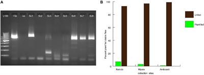 Supplementing Blood Diet With Plant Nectar Enhances Egg Fertility in Stomoxys calcitrans